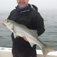Striper