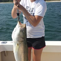 Striped Bass Charter Fishing on Cape Cod