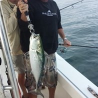 Marine wildlife tours Cape Cod