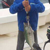 Nauset Beach fishing charters