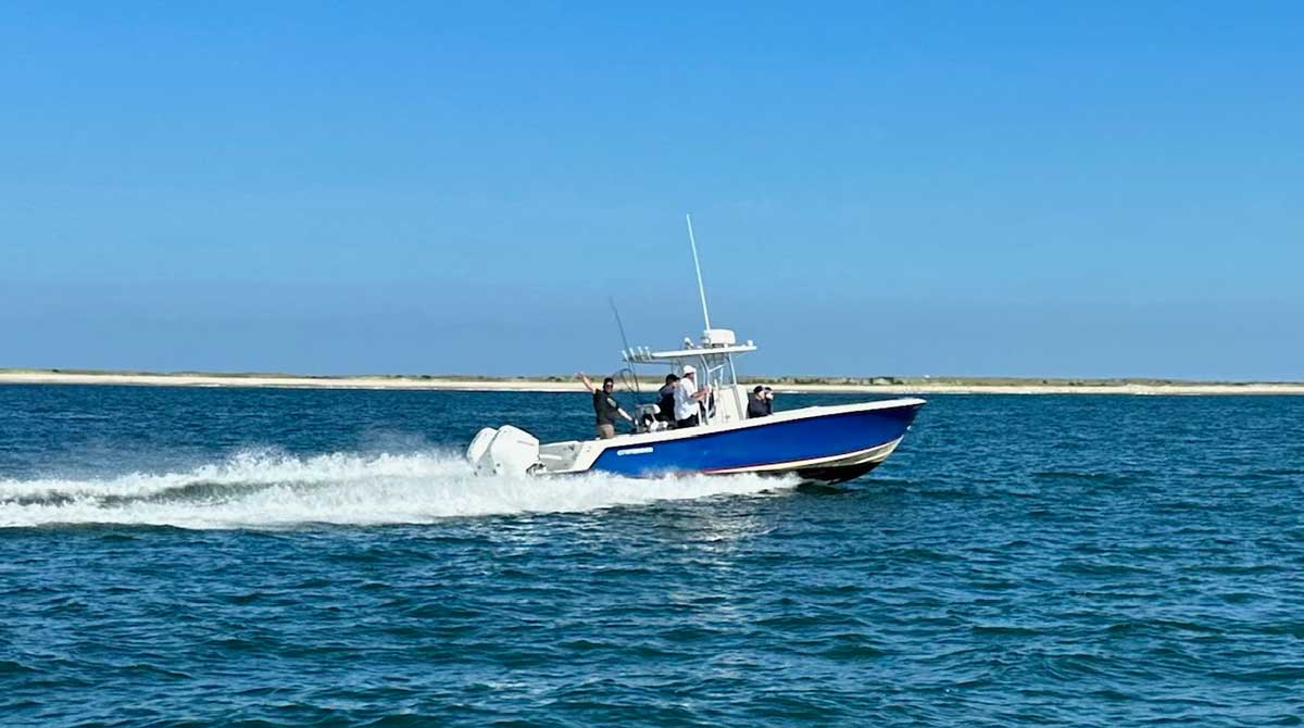 Scenic boat trips Chatham